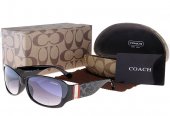 Coach Outlet - Coach Sunglasses No:42086