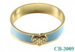 Coach Outlet for Jewelry-Bangle No: CB-3009
