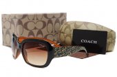 Coach Outlet - Coach Sunglasses No:42029
