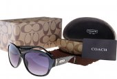 Coach Outlet - Coach Sunglasses No:42055