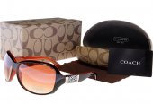 Coach Outlet - Coach Sunglasses No:42060