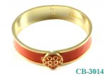 Coach Outlet for Jewelry-Bangle No: CB-3014