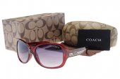Coach Outlet - Coach Sunglasses No:42134