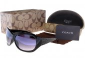 Coach Outlet - Coach Sunglasses No:42067