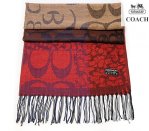 Coach Scarf 4026-Coloful Cotton with Brown Half Moon "C" Logo