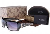 Coach Outlet - Coach Sunglasses No:42030