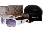 Coach Outlet - Coach Sunglasses No:42100