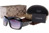 Coach Outlet - Coach Sunglasses No:42071
