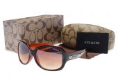 Coach Outlet - Coach Sunglasses No:42014