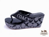 Coach Wedges 4926-White Coach Brand and Grey with Black Belt