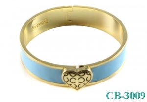 Coach Outlet for Jewelry-Bangle No: CB-3009