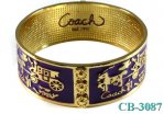 Coach Outlet for Jewelry-Bangle No: CB-3087