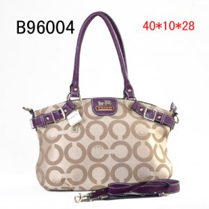 Coach Outlet - Coach Wills Collection No: 17022